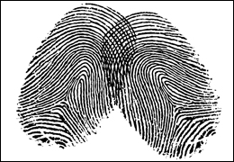 Two fingerprints